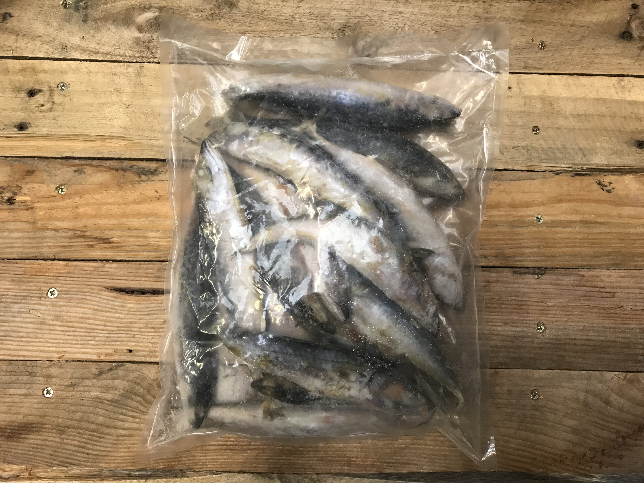 Whole Mackerel – 1kg
