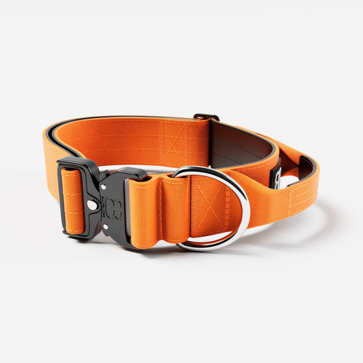 Bully Billows 5cm Combat Collar Orange – Large