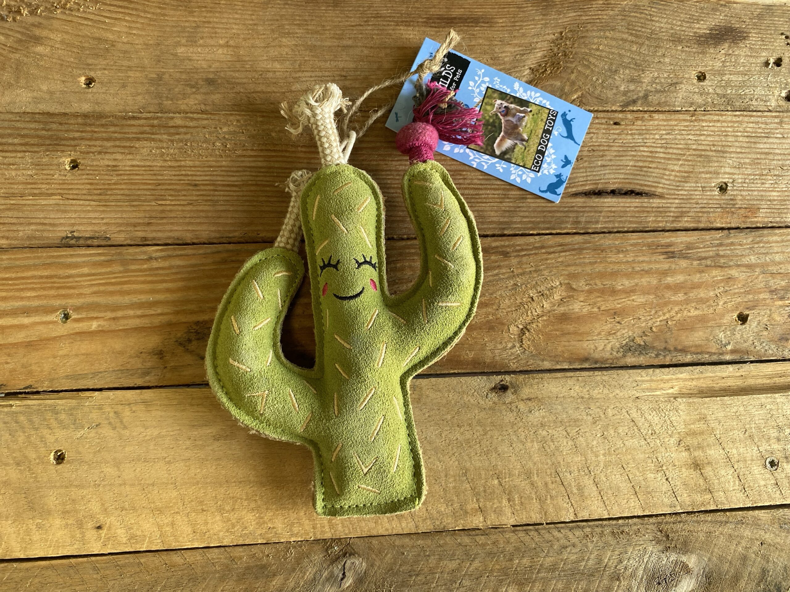 Carmen The Cactus – 1 Pc
